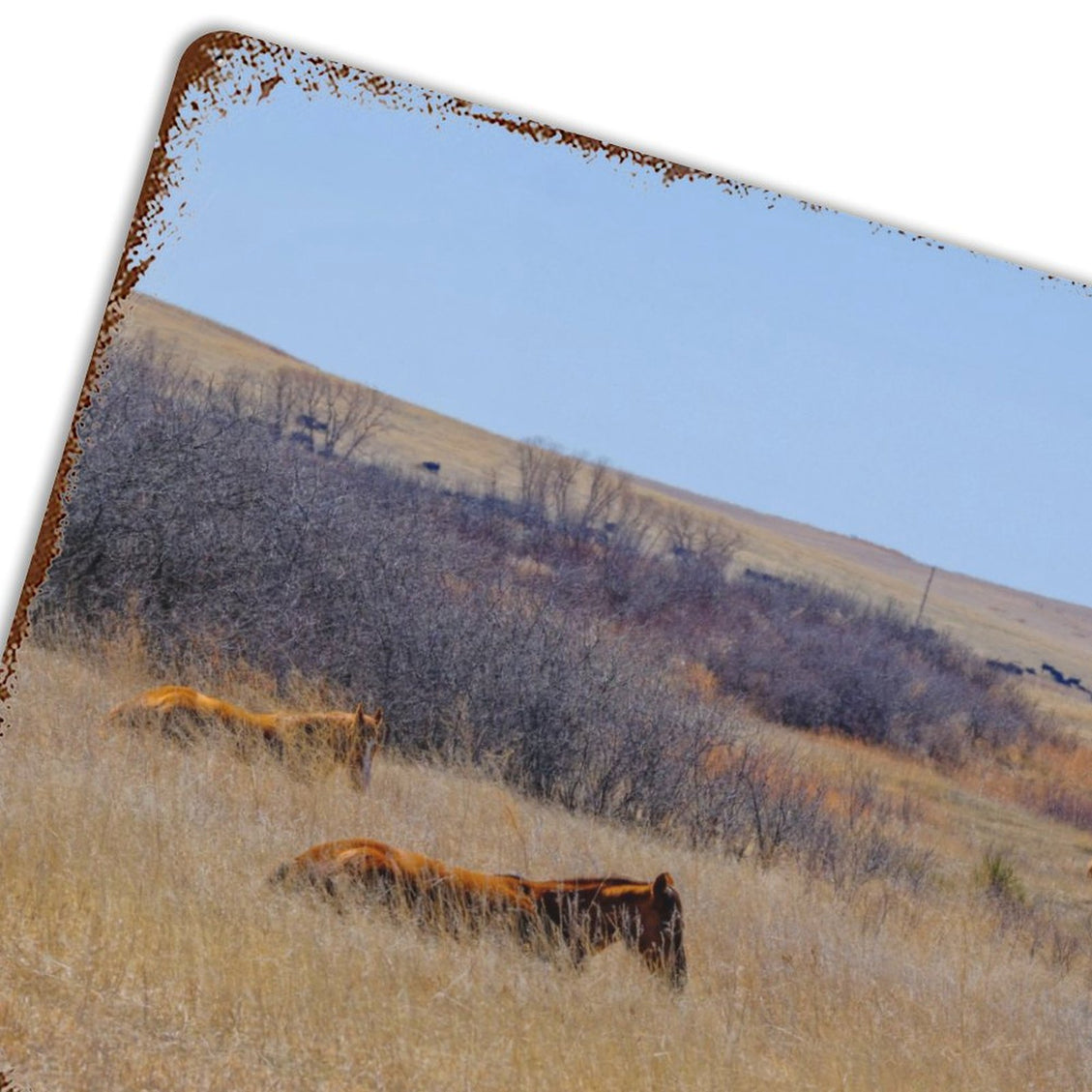 Design Rusty Metal Sign(Horizontal) 11.8"×15.7"