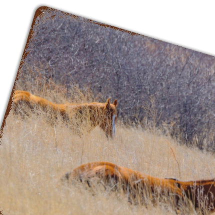 Design Rusty Metal Sign(Horizontal) 11.8"×15.7"
