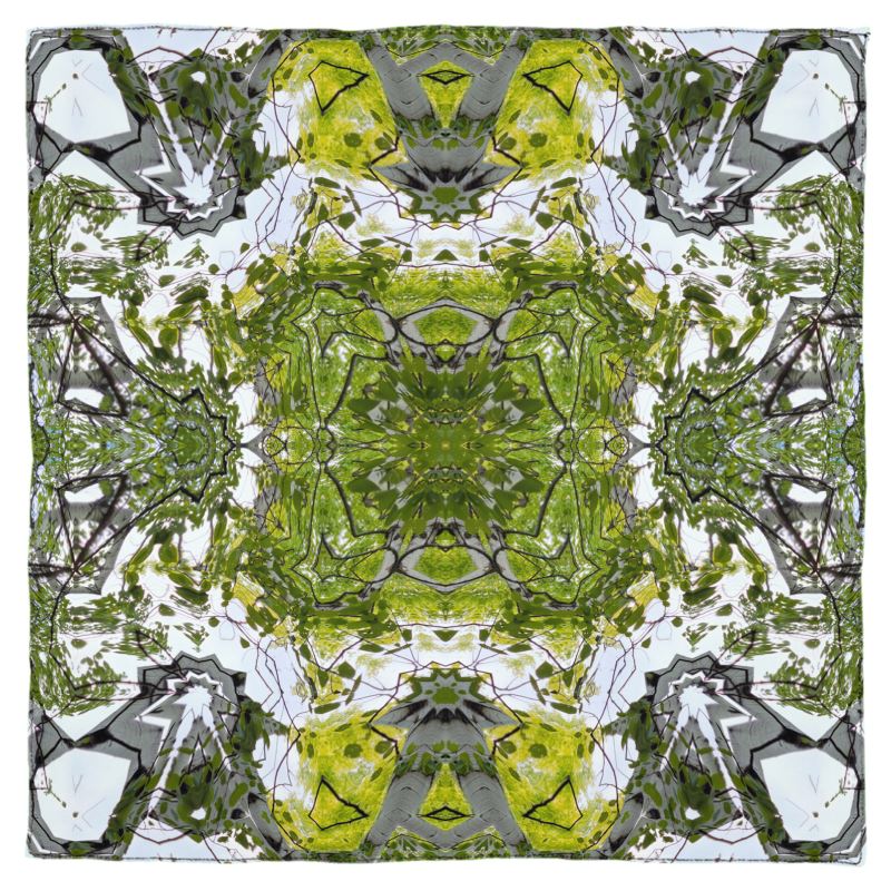 Scarf Wrap or Shawl Aspens in Wyoming