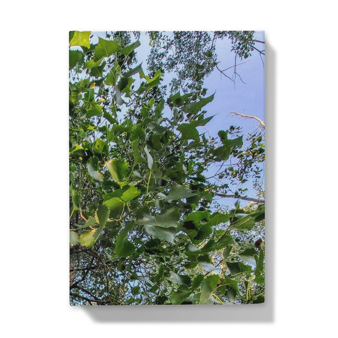 Cottonwoods Hardback Journal