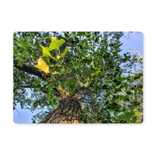 Load image into Gallery viewer, Cottonwoods Placemat
