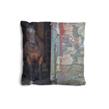 Charger l&#39;image dans la galerie, Horse in Red Barn by JVH Pillow
