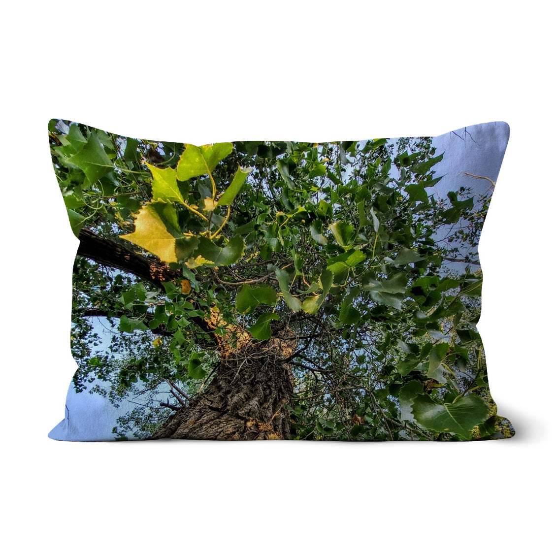 Cottonwoods Cushion