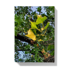 Load image into Gallery viewer, Cottonwoods Hardback Journal
