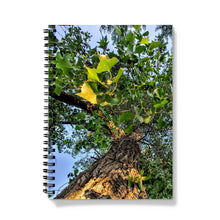 Load image into Gallery viewer, Cottonwoods Notebook
