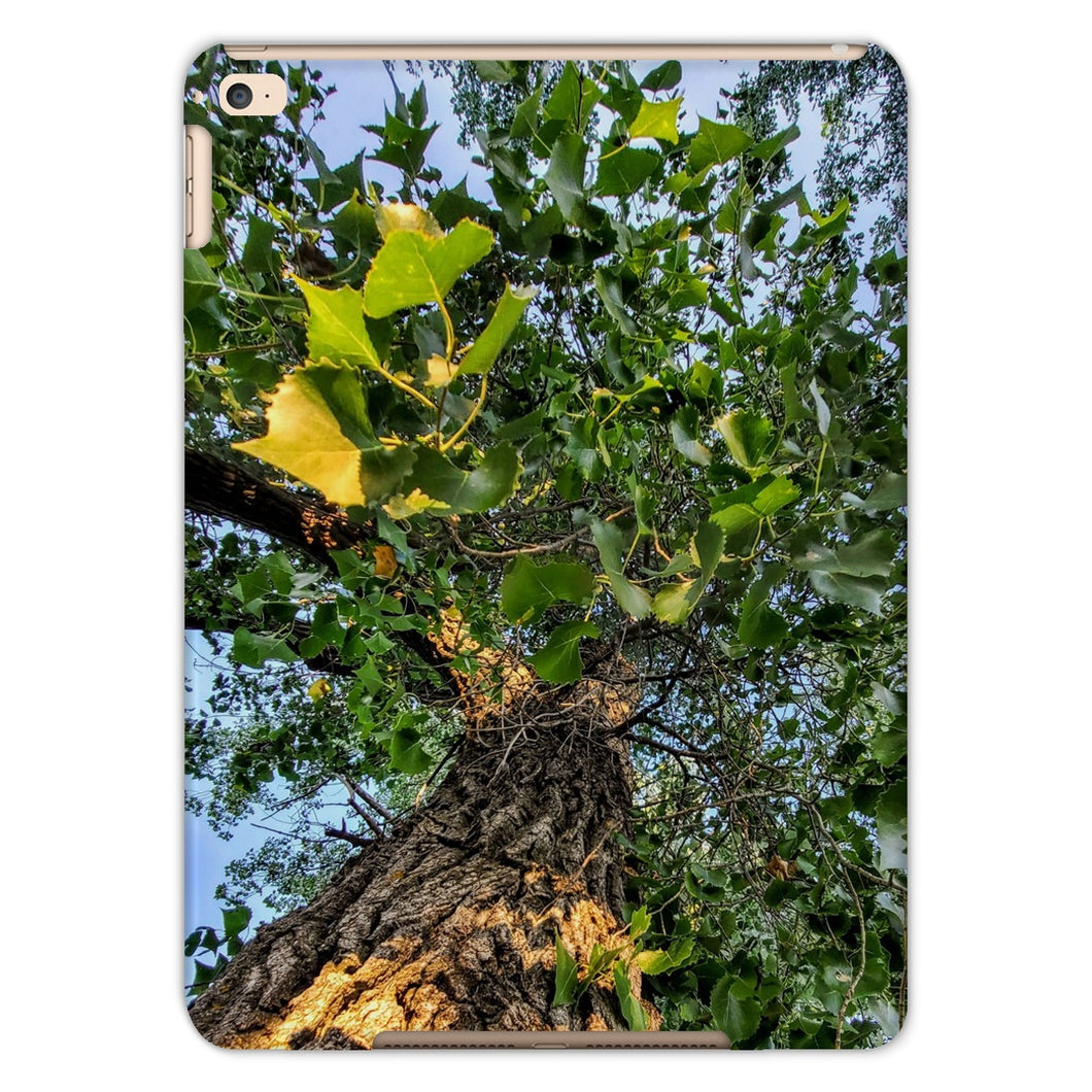 Cottonwoods Tablet Cases