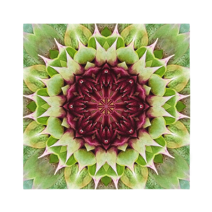 Thistle Sublimation Bandana