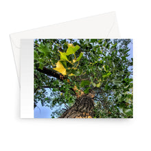 Load image into Gallery viewer, Cottonwoods Greeting Card
