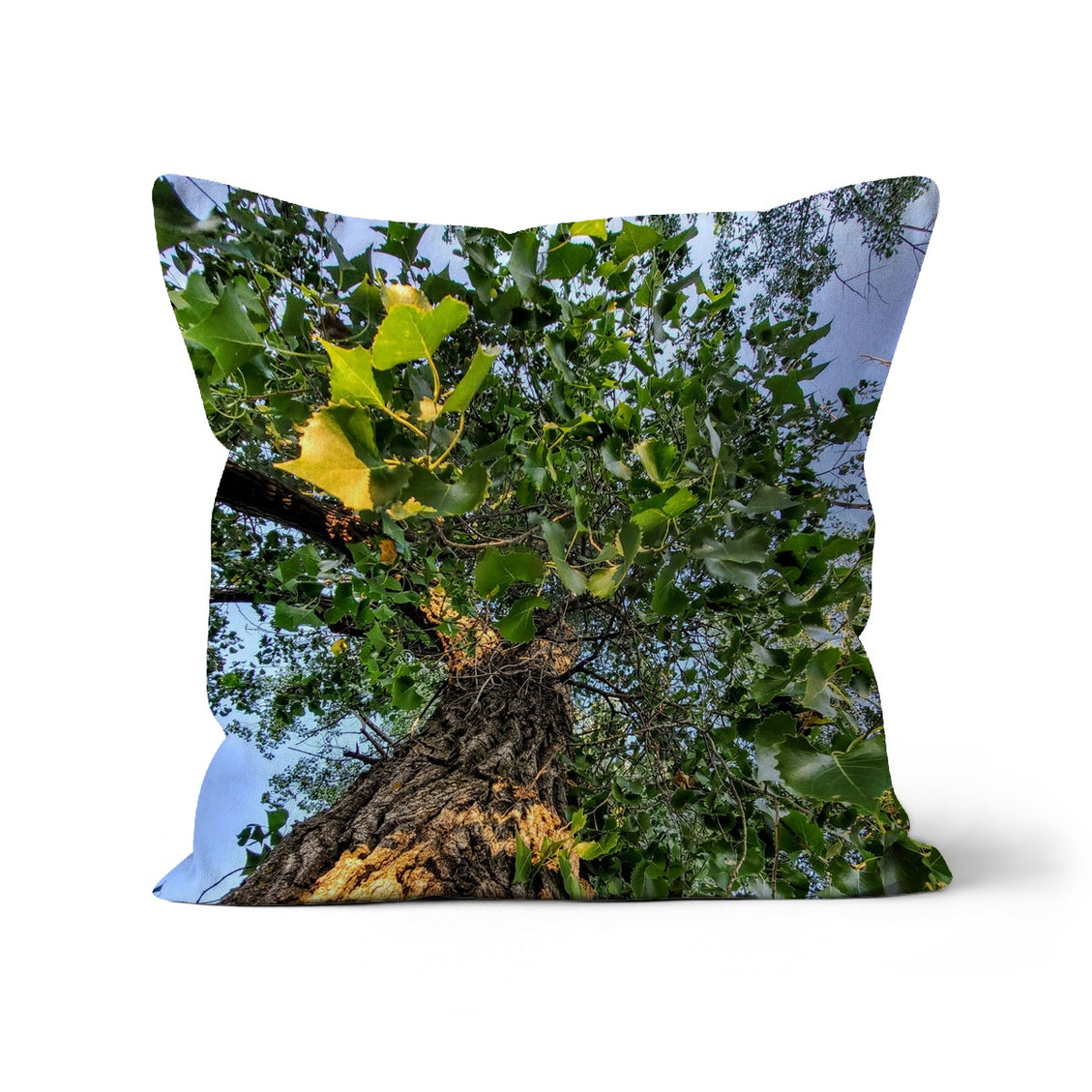 Cottonwoods Cushion